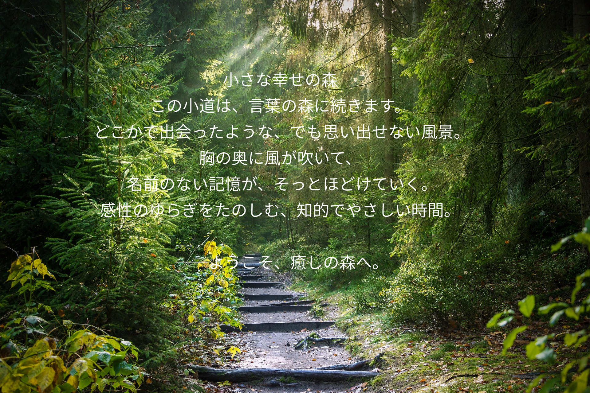 「小さな幸せの森へようこそ——心が疲れたときに訪れる癒しの空間」